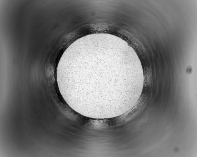 X0000103460187200810101159