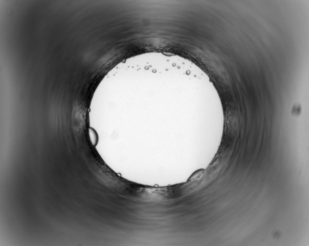 X0000103460188200810101159