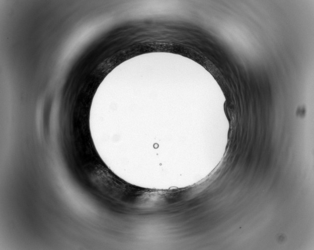 X0000103460190200810101159