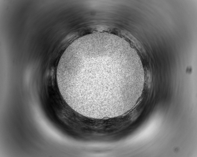 X0000103460191200810101159