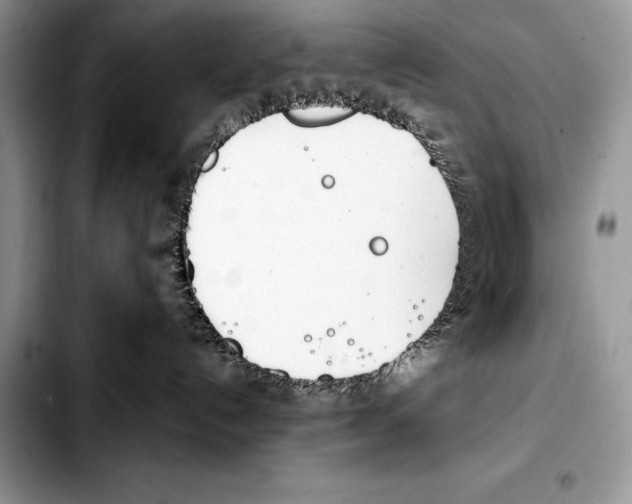 X0000103460192200810101159