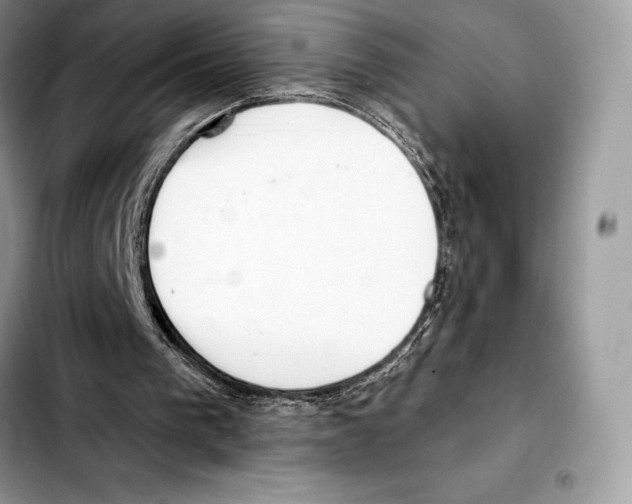 X0000103460193200810101158