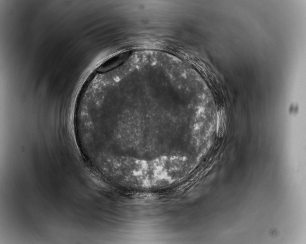 X0000103460195200810101158