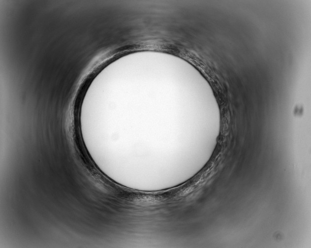 X0000103460198200810101158