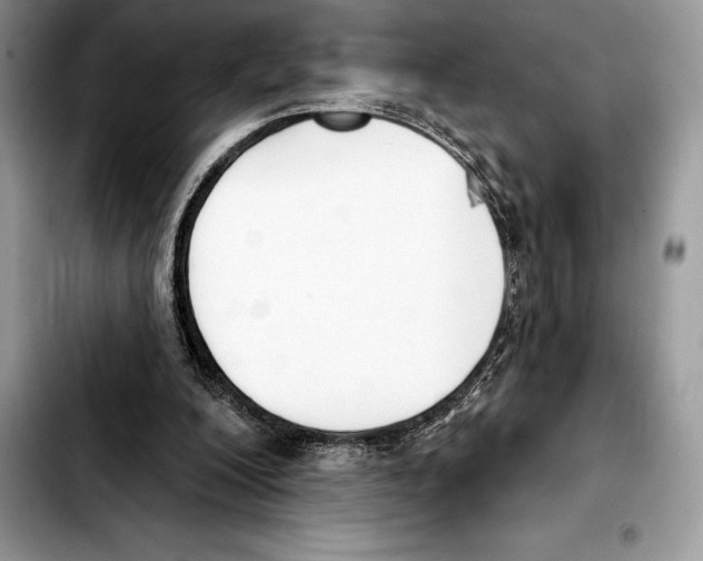 X0000103460200200810101158