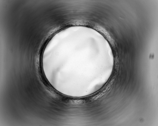 X0000103460202200810101158