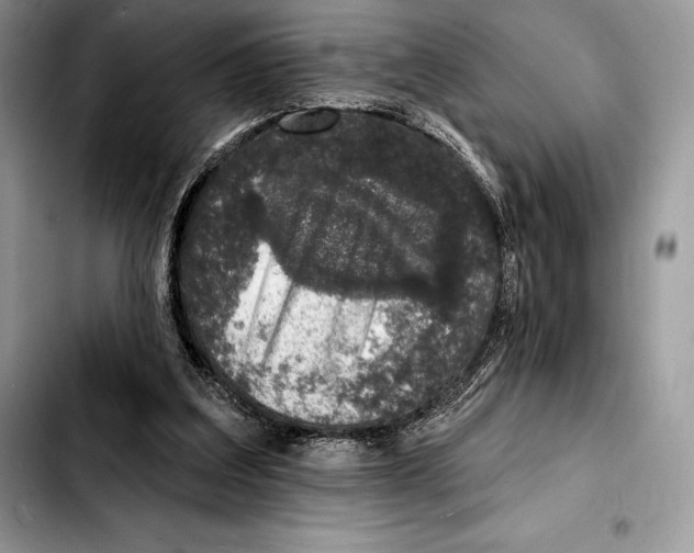 X0000103460203200810101158