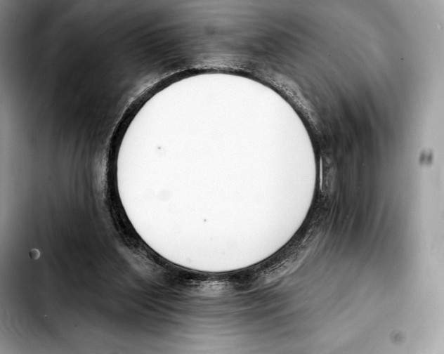 X0000103460204200810101158