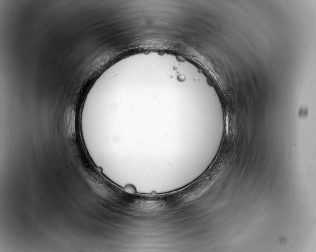X0000103460205200810101158