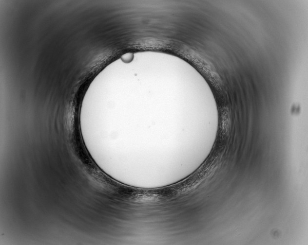 X0000103460206200810101158