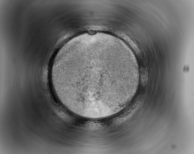 X0000103460207200810101158