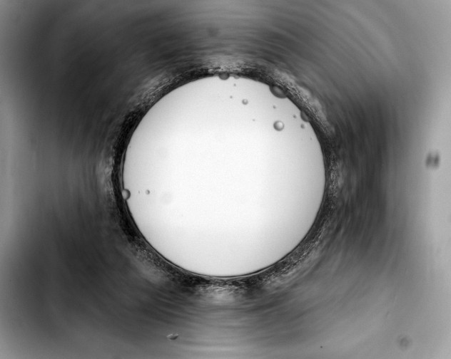 X0000103460209200810101158