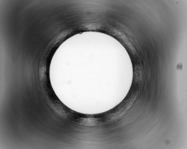 X0000103460212200810101158