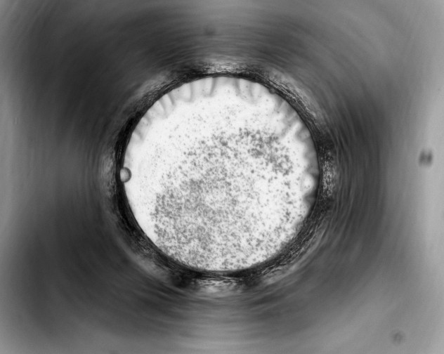 X0000103460215200810101158