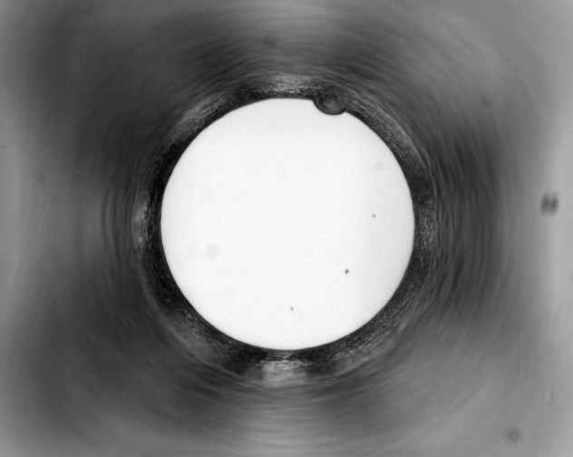 X0000103460216200810101158