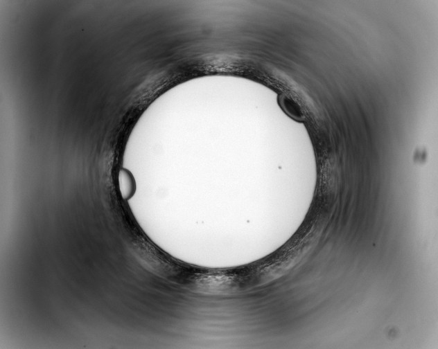 X0000103460217200810101158