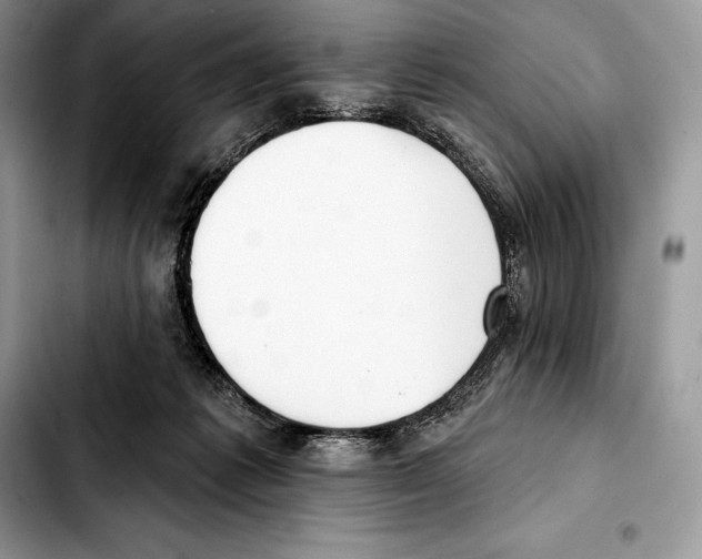 X0000103460221200810101158