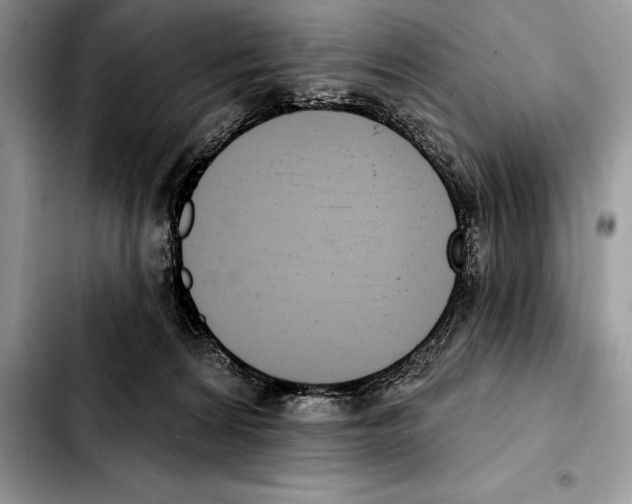 X0000103460224200810101157