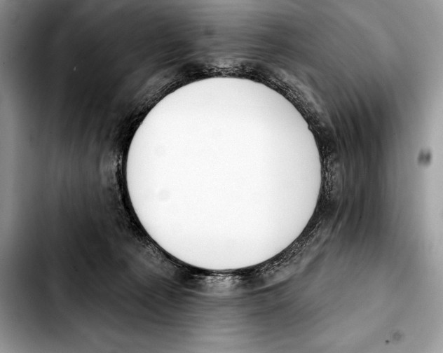 X0000103460225200810101157