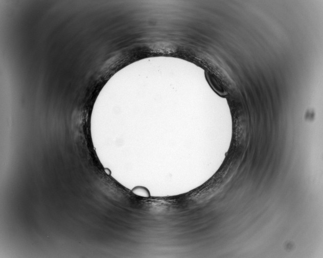 X0000103460229200810101157