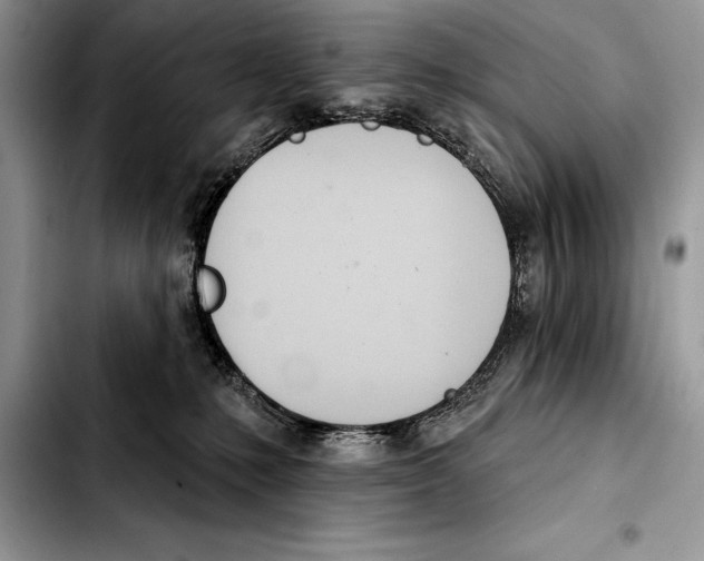 X0000103460231200810101157