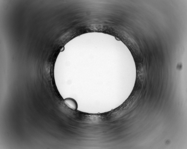 X0000103460233200810101157