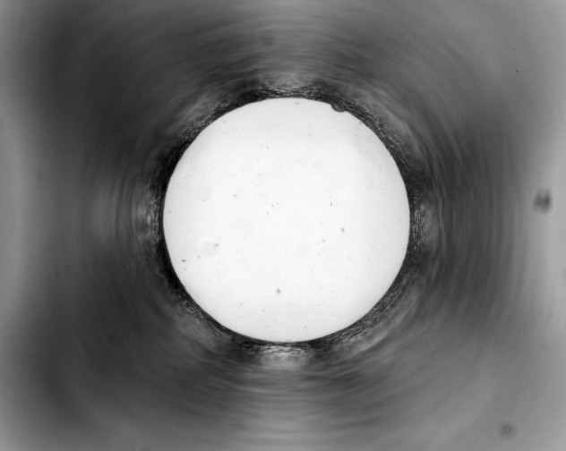 X0000103460234200810101157