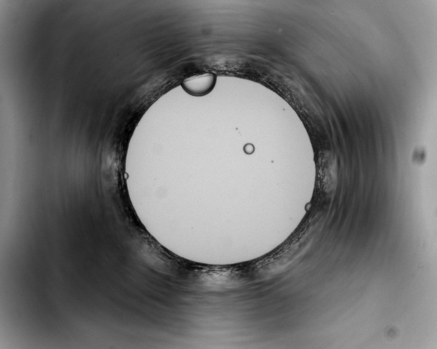 X0000103460235200810101157