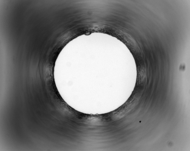 X0000103460236200810101157
