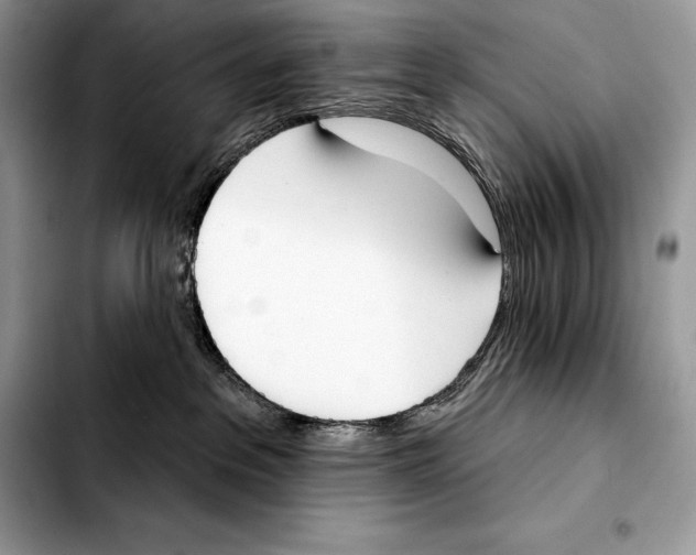 X0000103460237200810101157