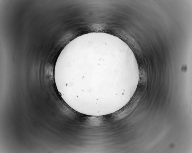 X0000103460238200810101157