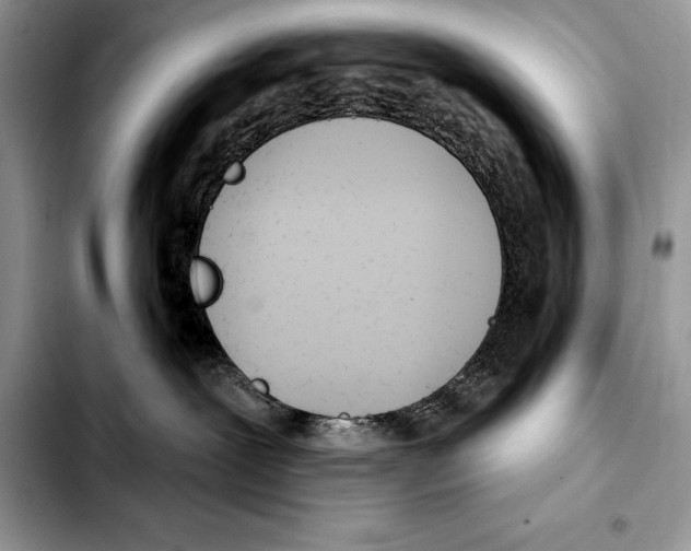 X0000103460239200810101157