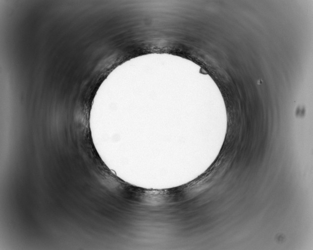 X0000103460240200810101157