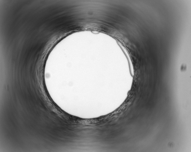 X0000103460241200810101157