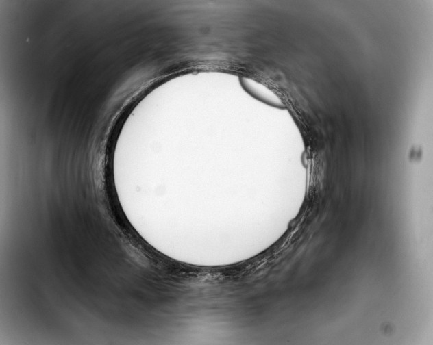 X0000103460243200810101157