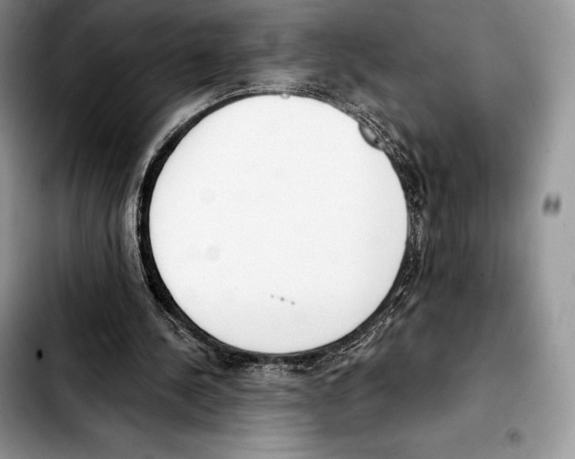 X0000103460244200810101157