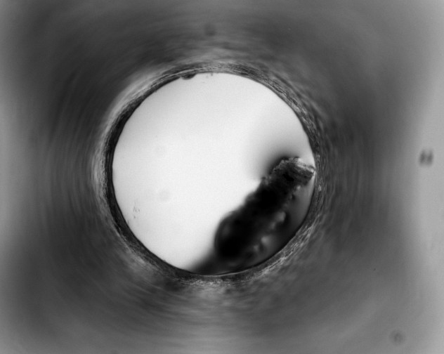 X0000103460245200810101157