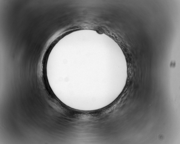 X0000103460246200810101157