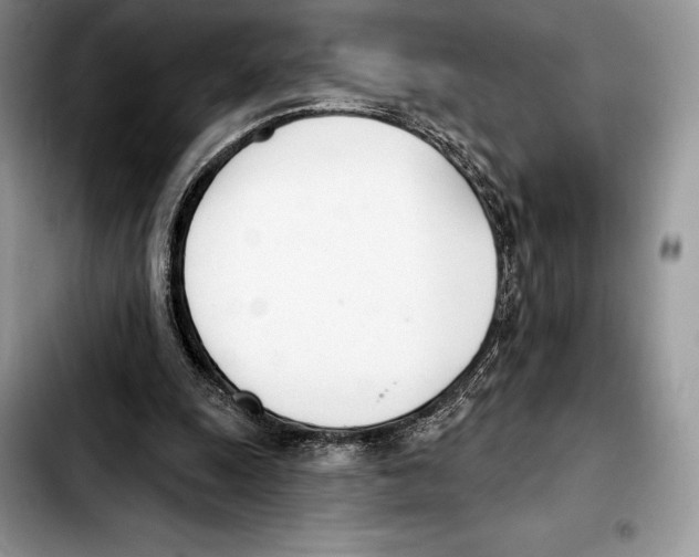X0000103460247200810101157