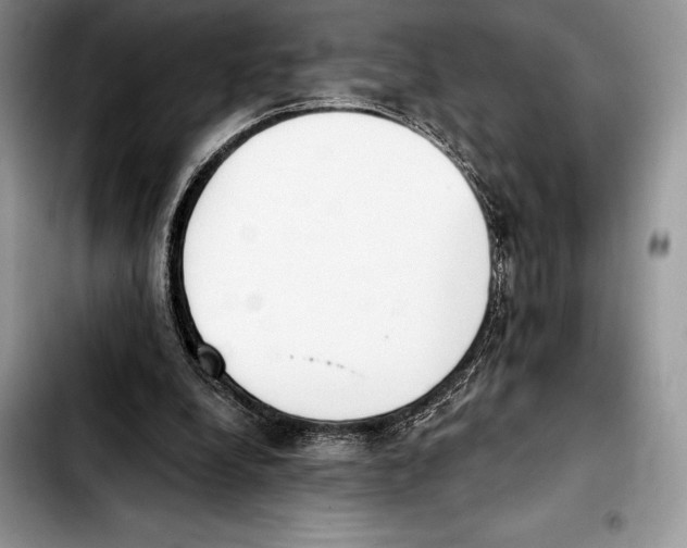 X0000103460248200810101157