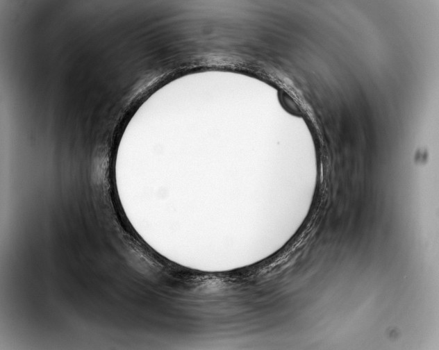 X0000103460249200810101157