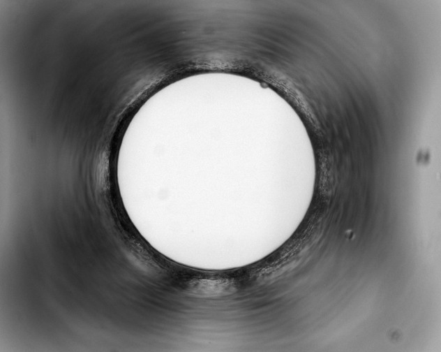 X0000103460251200810101157