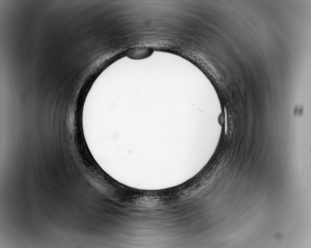 X0000103460252200810101157