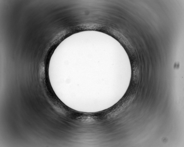 X0000103460254200810101157