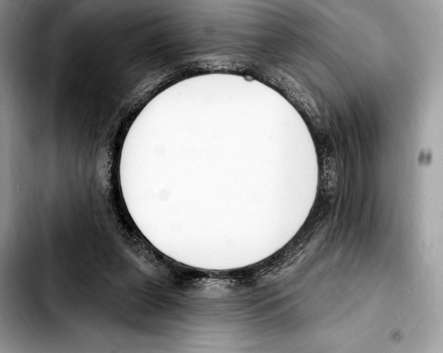 X0000103460255200810101157