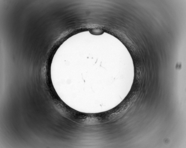 X0000103460256200810101157