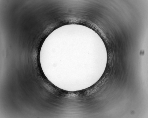 X0000103460257200810101157