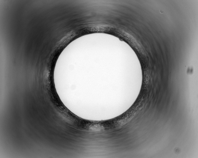 X0000103460258200810101157