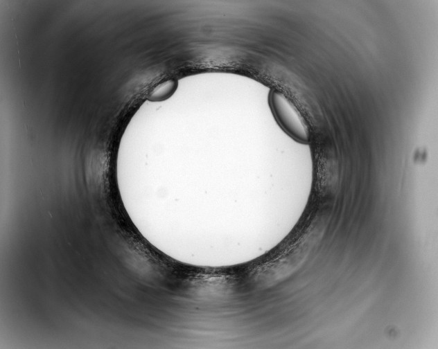 X0000103460260200810101157