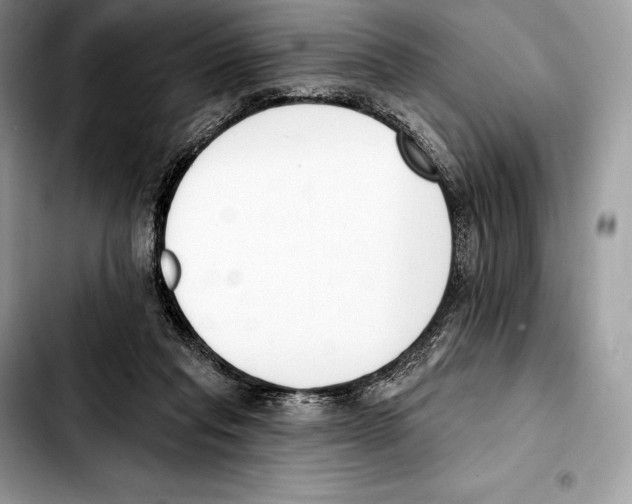 X0000103460261200810101157